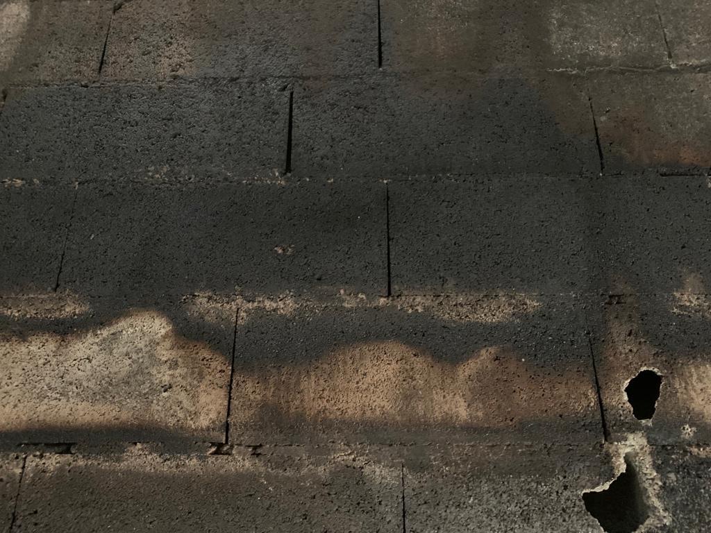 3188cba6 f7f6 4fd4 ab44 e04fec22548a