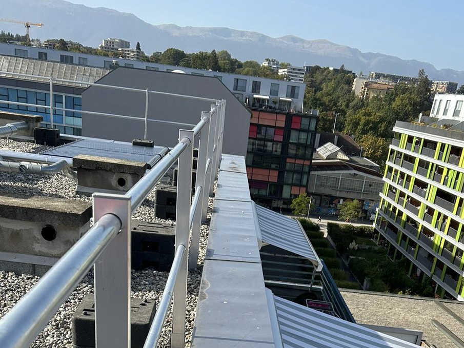 369d05a7 470d 43ad b6b8 62f3b9530cf8